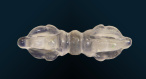 ritueleobjecten_himalayabergkristal_28_2109239990